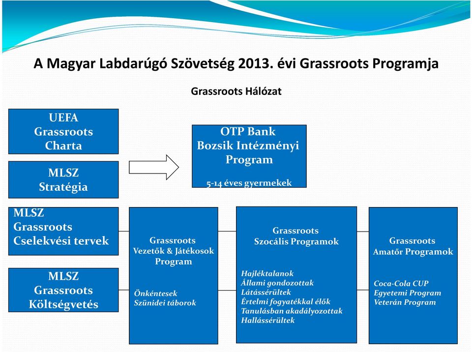 gyermekek MLSZ Grassroots Cselekvési tervek MLSZ Grassroots Költségvetés Grassroots Vezetők & Játékosok Program Önkéntesek