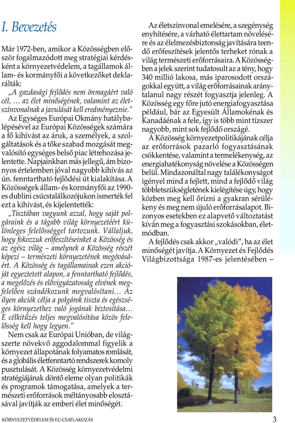 Az Egységes Európai Okmány hatálybalépésével az Európai Közösségek számára a fõ kihívást az áruk, a személyek, a szolgáltatások és a tõke szabad mozgását megvalósító egységes belsõ piac létrehozása