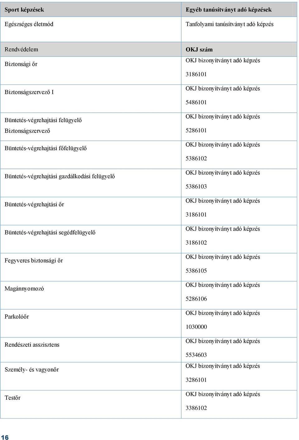 Büntetés-végrehajtási őr Büntetés-végrehajtási segédfelügyelő Fegyveres biztonsági őr Magánnyomozó Parkolóőr Rendészeti