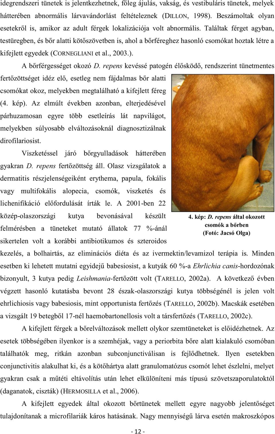 Találtak férget agyban, testüregben, és bőr alatti kötőszövetben is, ahol a bőrféreghez hasonló csomókat hoztak létre a kifejlett egyedek (CORNEGLIANI et al., 2003.). A bőrférgességet okozó D.