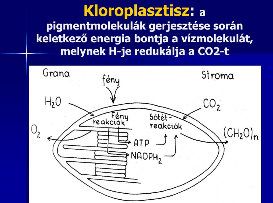 során keletkező energia bontja