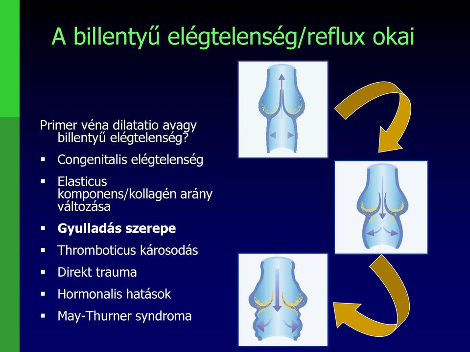 Congenitalis elégtelenség Elasticus komponens/kollagén arány