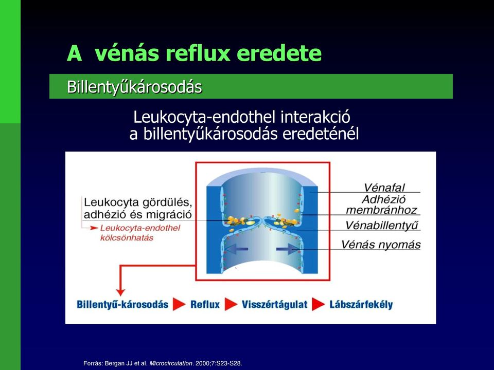 interakció a billentyűkárosodás