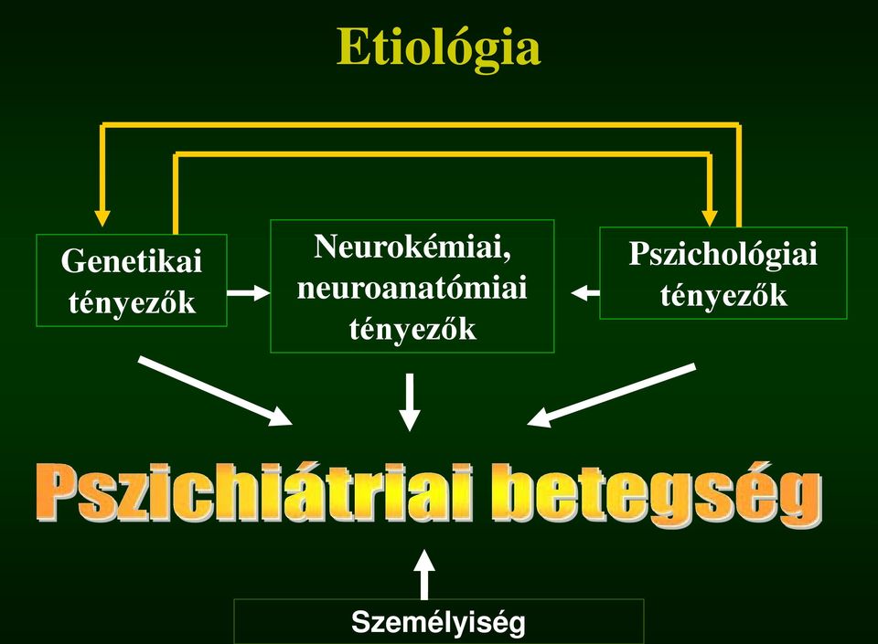 neuroanatómiai tényezők