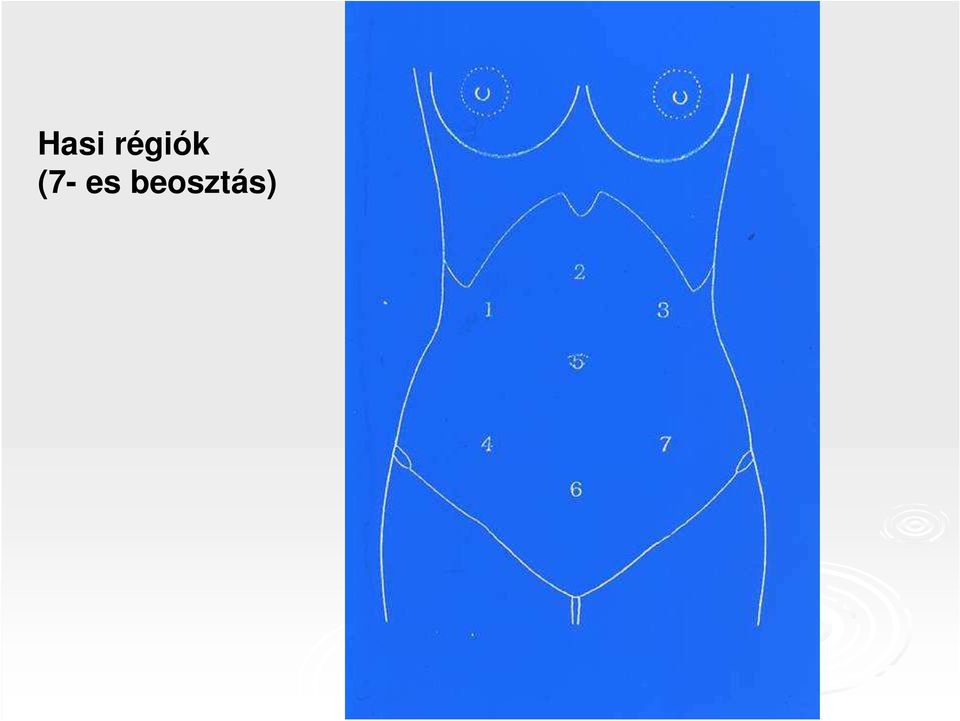 (7- es