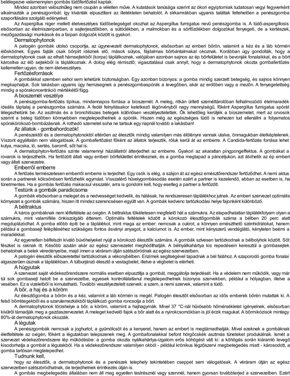A sírkamrákban ugyanis találtak feltehetően a penészgomba szaporítására szolgáló edényeket.