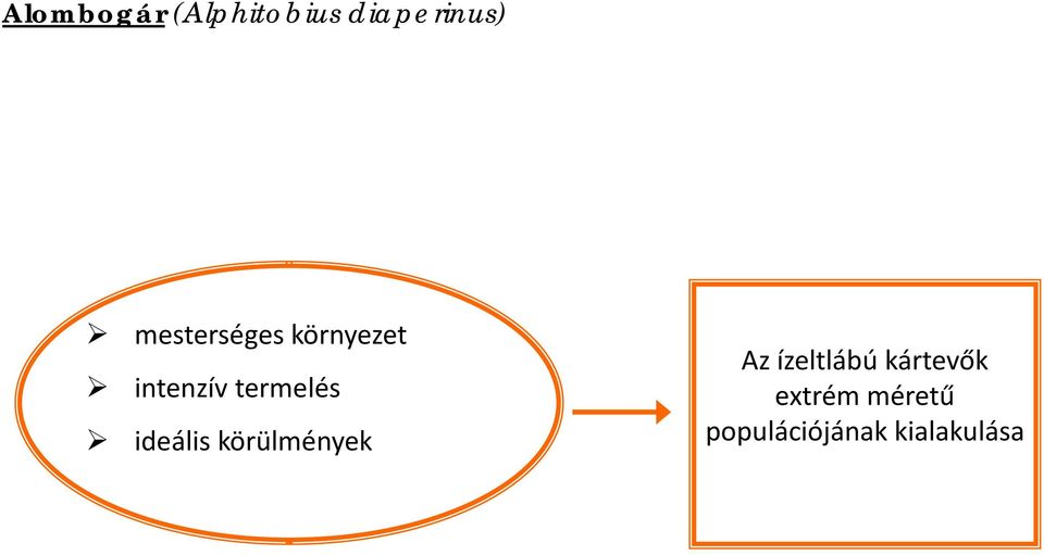 ideális körülmények Az ízeltlábú