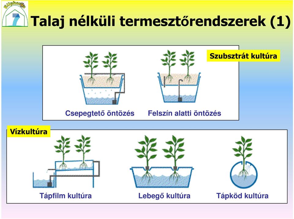 alatti öntözés Vízkultúra Nutrient Tápfilm film kultúra