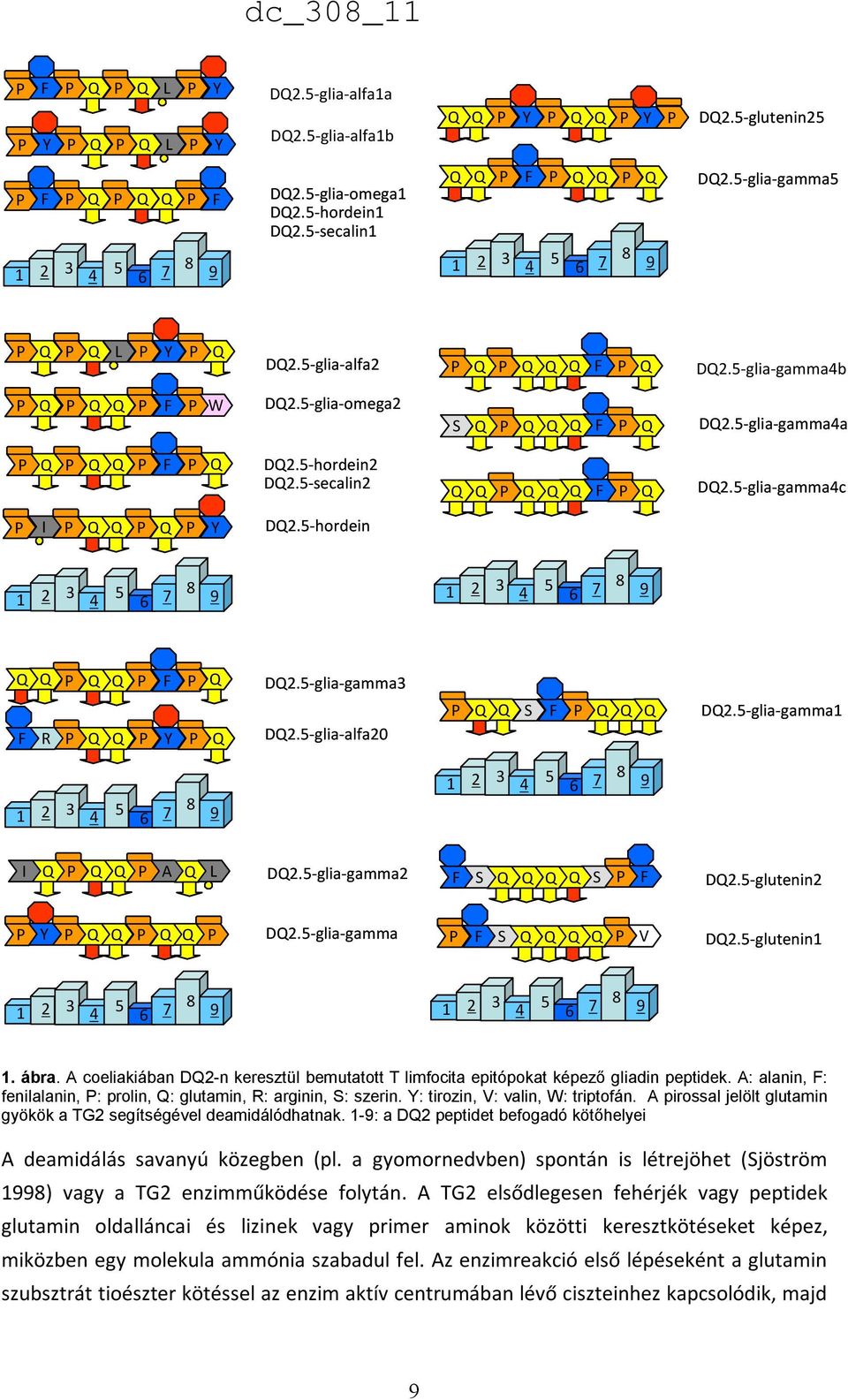 5-glia-omega1 D2.5-hordein1 D2.5-secalin1 F F F F F D2.5-glia-omega1 D2.5-hordein1 D2.5-secalin1 F D2.5-glia-gamma5 F F F D2.5-glia-gamma5 1 2 3 4 5 6 7 8 9 1 2 3 4 5 6 7 8 9 F D2.5-hordein2 D2.