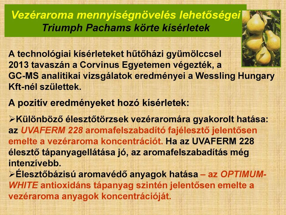 A pozitív eredményeket hozó kísérletek: Különböző élesztőtörzsek vezéraromára gyakorolt hatása: az UVAFERM 228 aromafelszabadító fajélesztő jelentősen emelte a