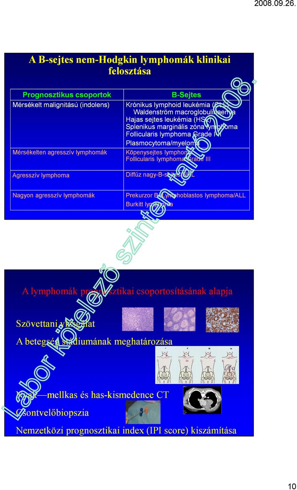 Hajas sejtes leukémia (HSL) Splenikus marginális zóna lymphoma Follicularis lymphoma Grade II-II Plasmocytoma/myeloma Mérsékelten agresszív lymphomák Köpenysejtes lymphoma Follicularis