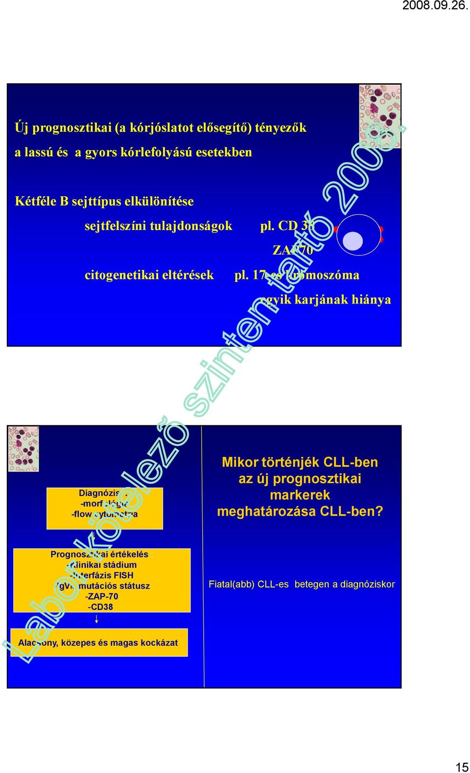 17-es kromoszóma egyik karjának hiánya Diagnózis : -morfológia -flow cytometria Mikor történjék CLL-ben az új prognosztikai markerek