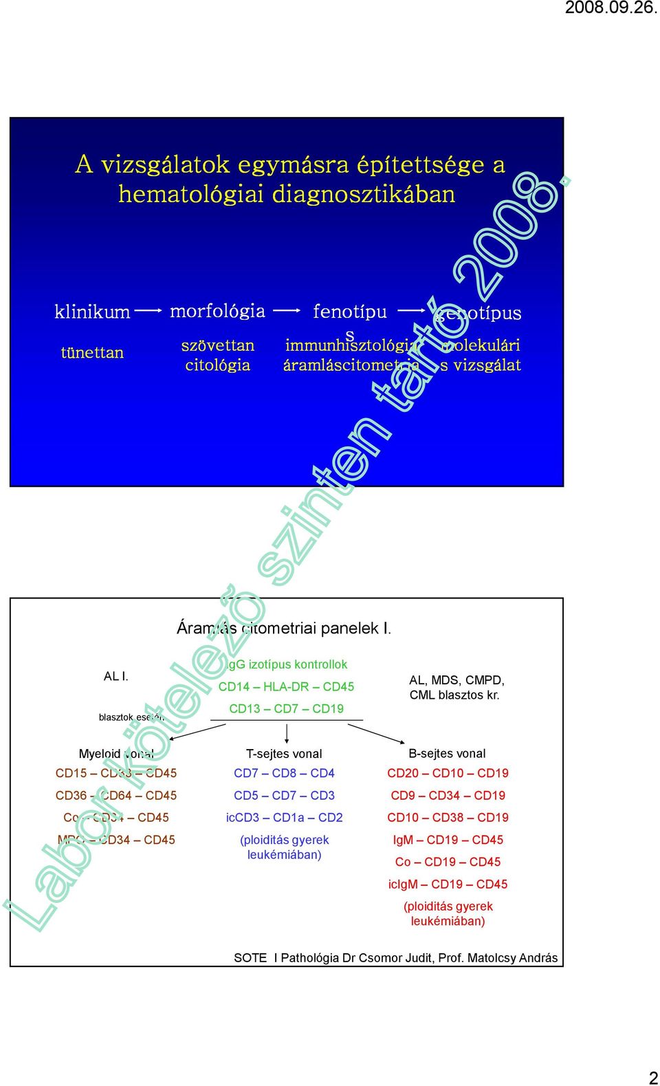Myeloid vonal T-sejtes vonal B-sejtes vonal CD15 CD33 CD45 CD36 CD64 CD45 Co CD34 CD45 MPO CD34 CD45 CD7 CD8 CD4 CD5 CD7 CD3 iccd3 CD1a CD2 (ploiditás gyerek leukémiában)