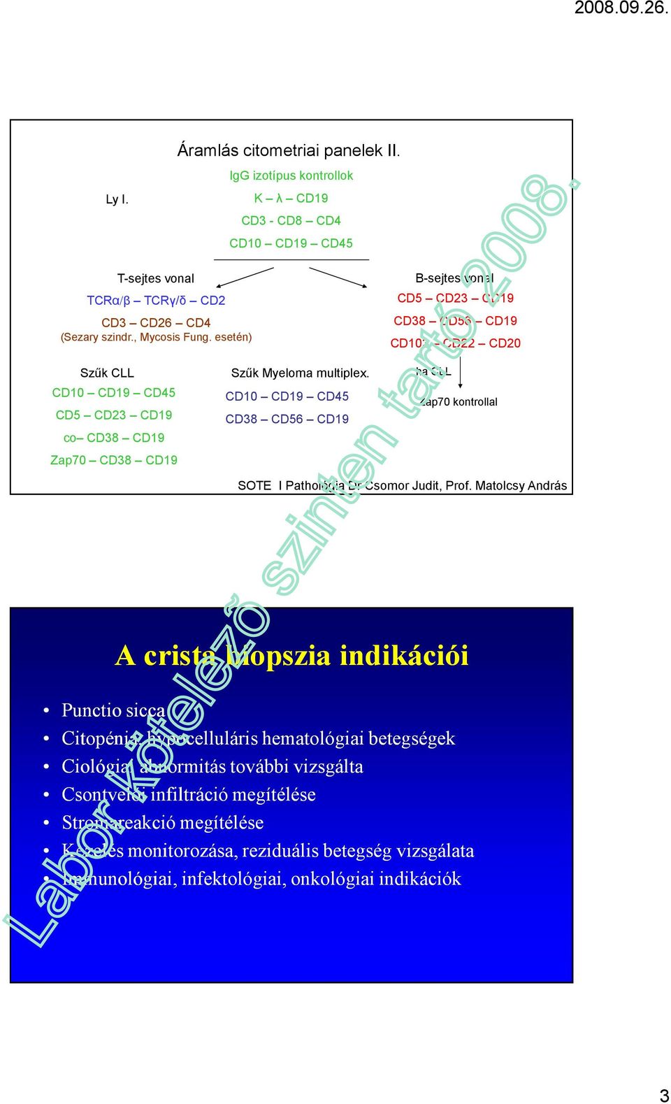 CD10 CD19 CD45 CD38 CD56 CD19 ha CLL Zap70 kontrollal SOTE I Pathológia Dr Csomor Judit, Prof.