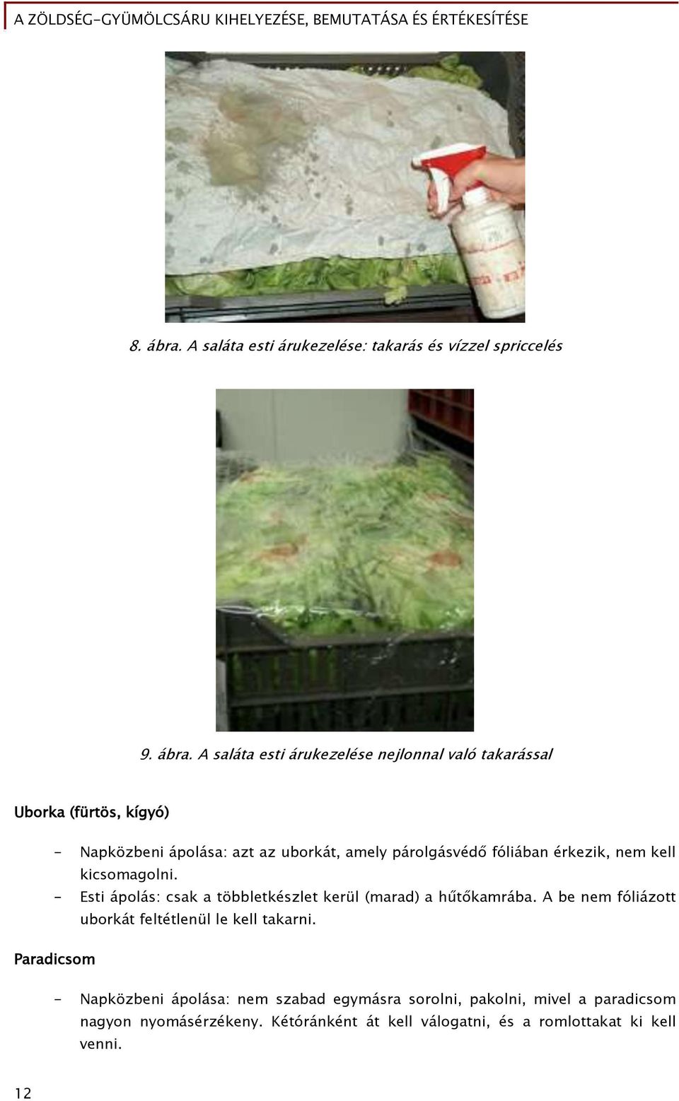 A saláta esti árukezelése nejlonnal való takarással Uborka (fürtös, kígyó) - Napközbeni ápolása: azt az uborkát, amely párolgásvédő
