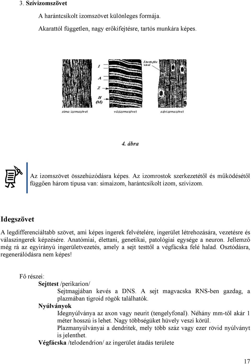 Idegszövet A legdifferenciáltabb szövet, ami képes ingerek felvételére, ingerület létrehozására, vezetésre és válaszingerek képzésére. Anatómiai, élettani, genetikai, patológiai egysége a neuron.