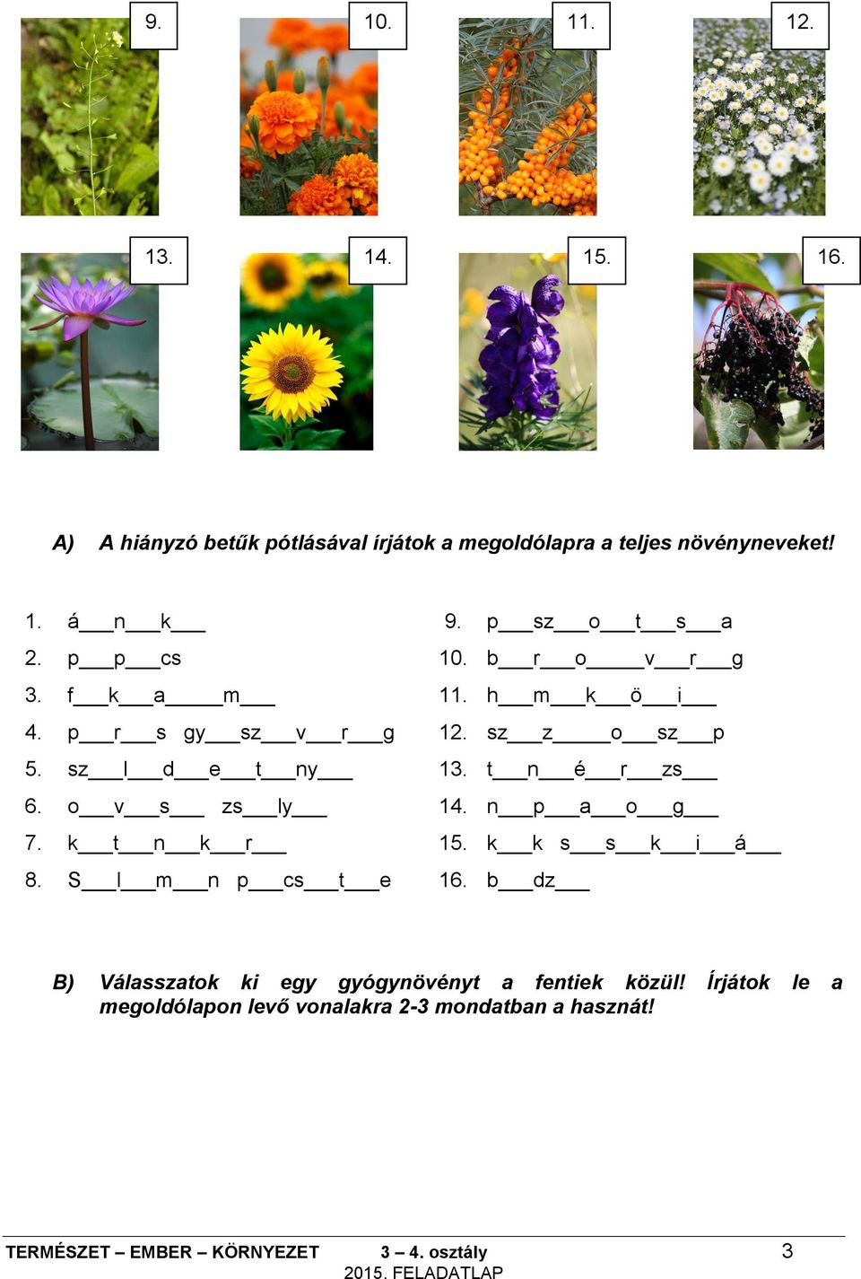 ny 13 t n é r zs 6 o v s zs ly 14 n p a o g 7 k t n k r 15 k k s s k i á 8 S l m n p cs t e 16 b dz B) Válasszatok ki