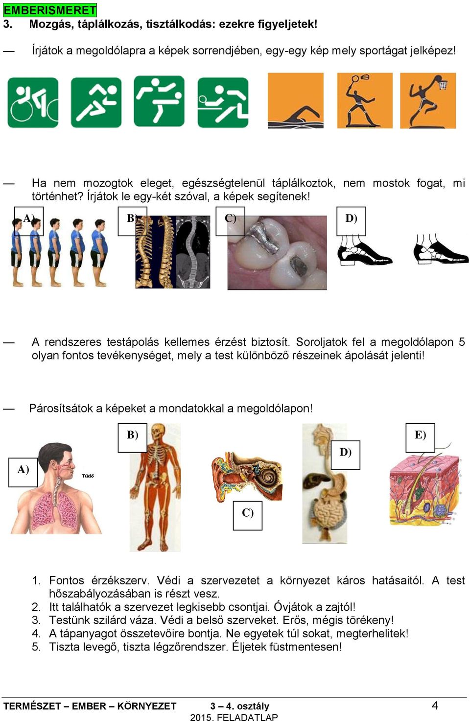 A) B) C) D) A rendszeres testápolás kellemes érzést biztosít Soroljatok fel a megoldólapon 5 olyan fontos tevékenységet, mely a test különböző részeinek ápolását jelenti!