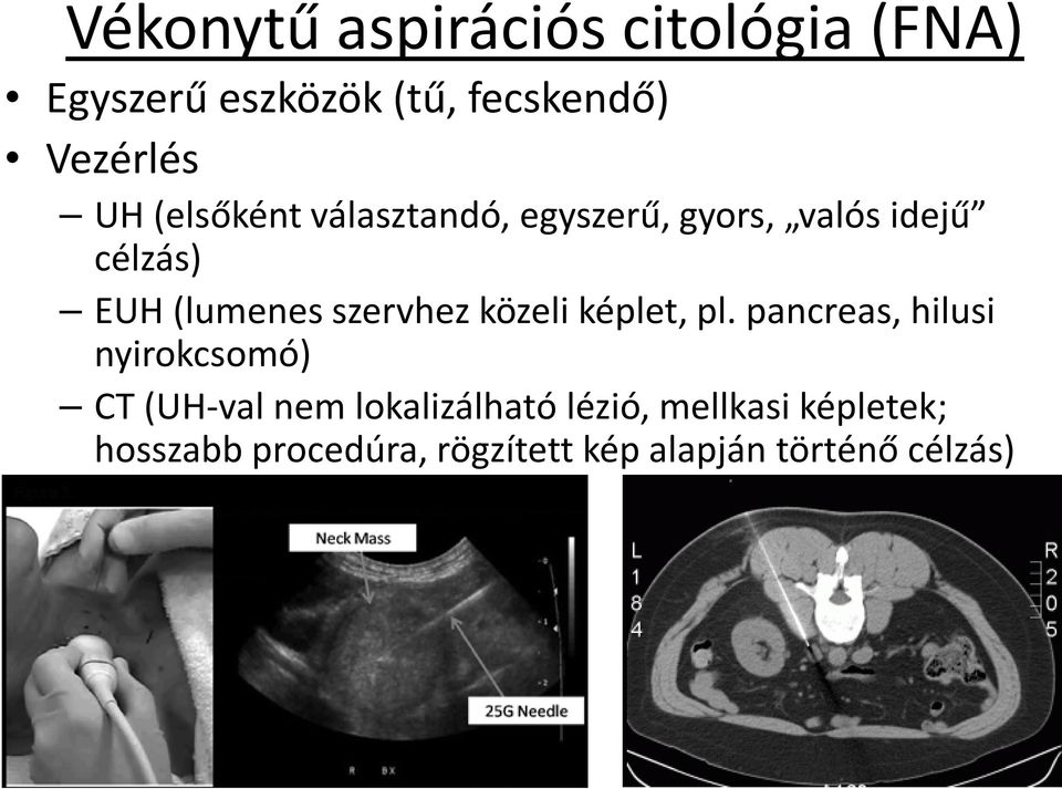 szervhez közeli képlet, pl.