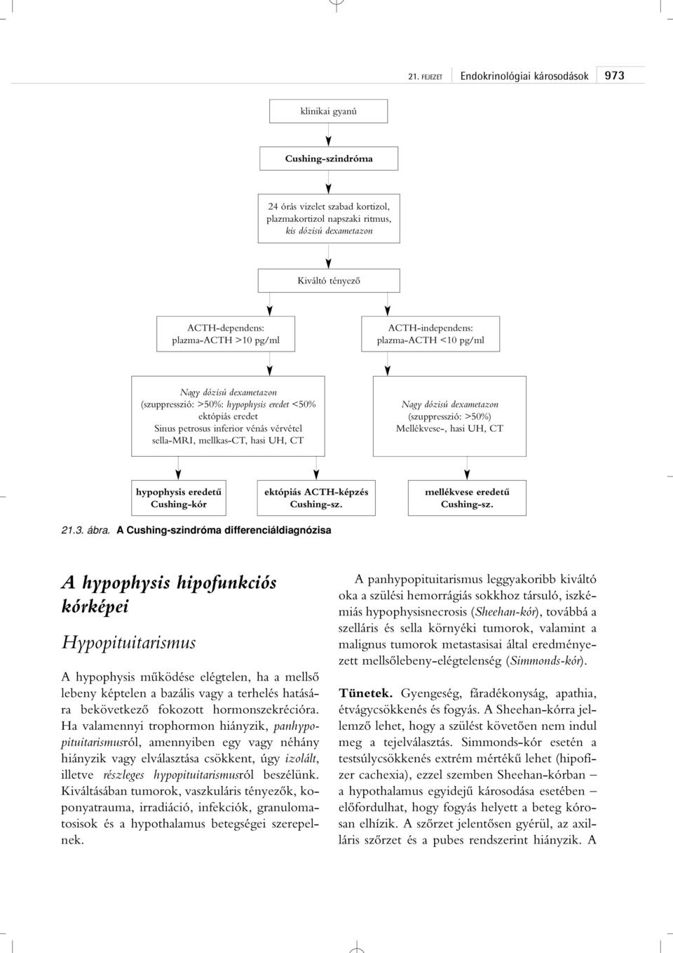 Nagy dózisú dexametazon (szuppresszió: >50%) Mellékvese-, hasi UH, CT hypophysis eredetû Cushing-kór ektópiás ACTH-képzés Cushing-sz. mellékvese eredetû Cushing-sz. 21.3. ábra.