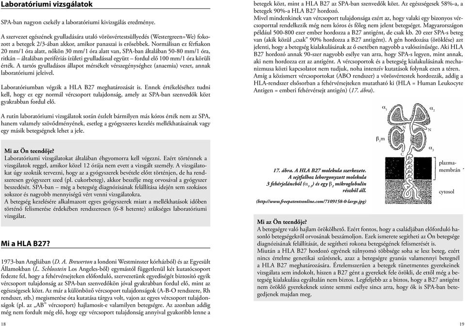 Normálisan ez férfiakon 20 mm/1 óra alatt, nőkön 30 mm/1 óra alatt van, SPA-ban általában 50-80 mm/1 óra, ritkán általában perifériás ízületi gyulladással együtt fordul elő 100 mm/1 óra körüli érték.
