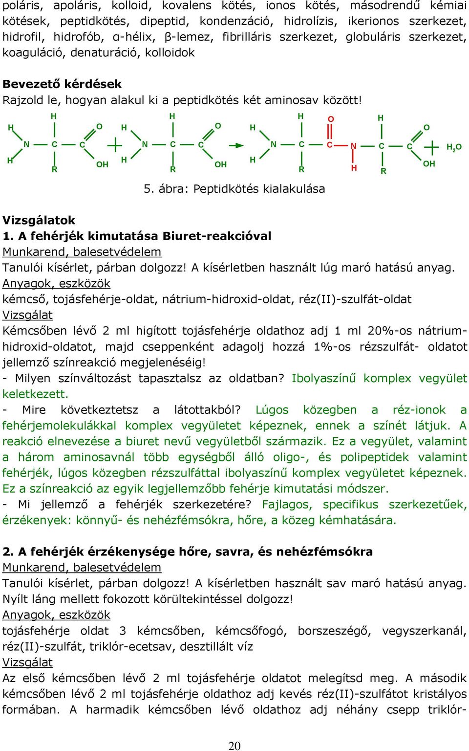 H H O H H O H H O H O H N C R C OH H N C R C OH H N C R C N H C R C OH H 2 O 5. ábra: Peptidkötés kialakulása ok 1.