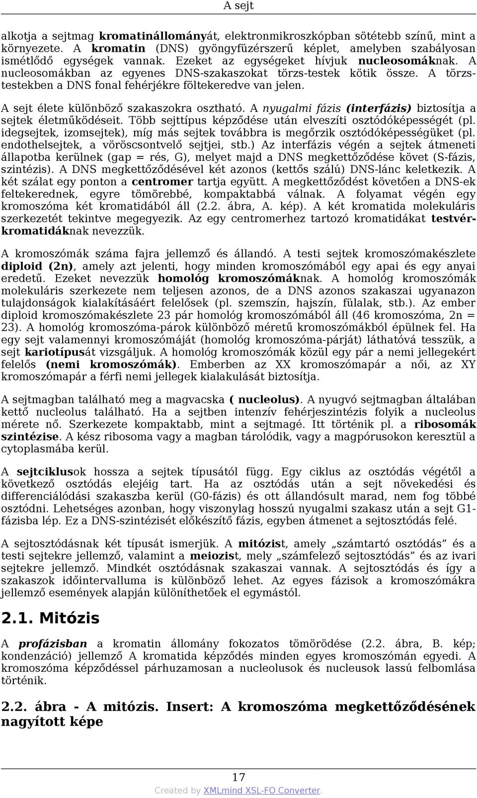 A sejt élete különböző szakaszokra osztható. A nyugalmi fázis (interfázis) biztosítja a sejtek életműködéseit. Több sejttípus képződése után elveszíti osztódóképességét (pl.