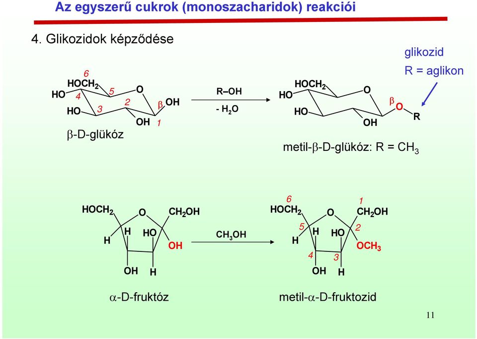 2 β metil-β-d-glükóz: R = 3 glikozid R = aglikon R