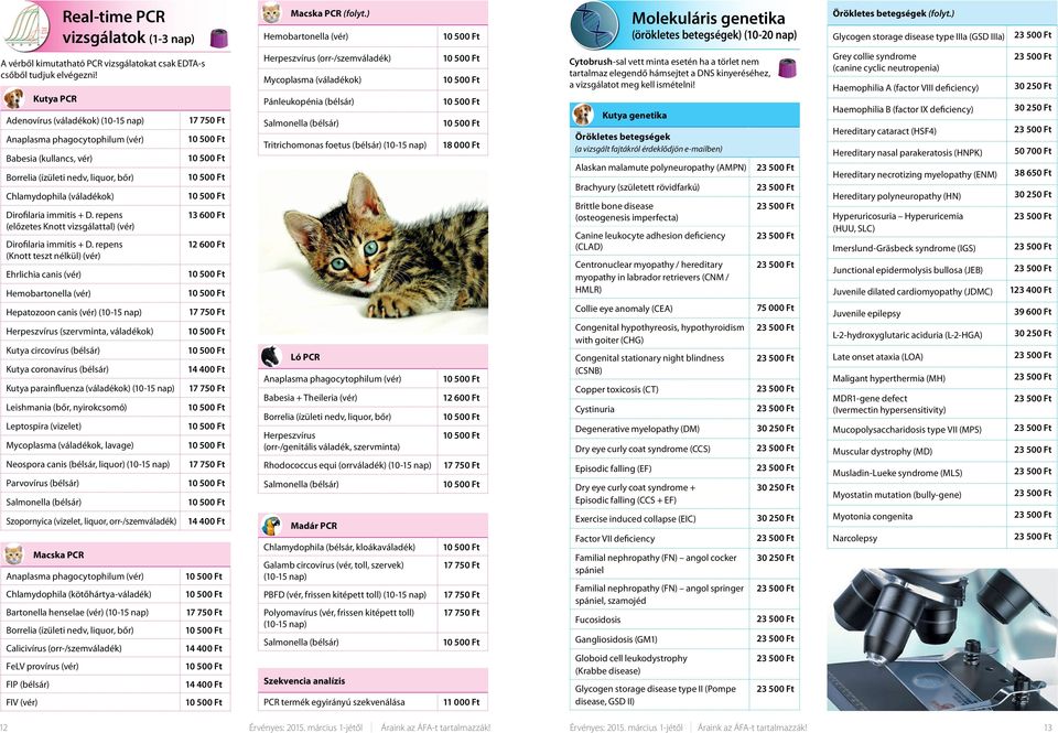 Vet-Med-Labor. A Teljesség Igényével. Állatorvosi Diagnosztikai  Laborhálózat. Vet-Med-Labor. Állatorvosi Diagnosztikai Laboratórium - PDF  Ingyenes letöltés