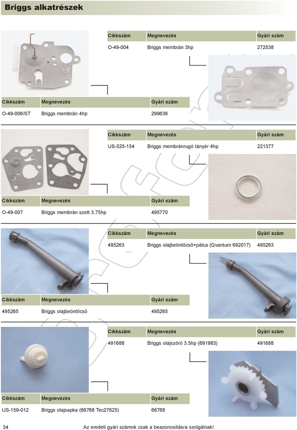 75hp 495770 495263 Briggs olajbeöntõcsõ+pálca (Qvantum 692017) 495263 495265 Briggs