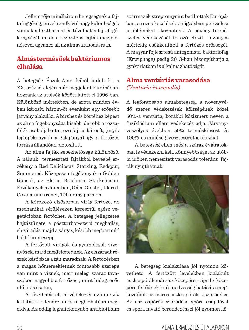 Különböző mértékben, de azóta minden évben károsít, három-öt évenként egy erősebb járvány alakul ki.
