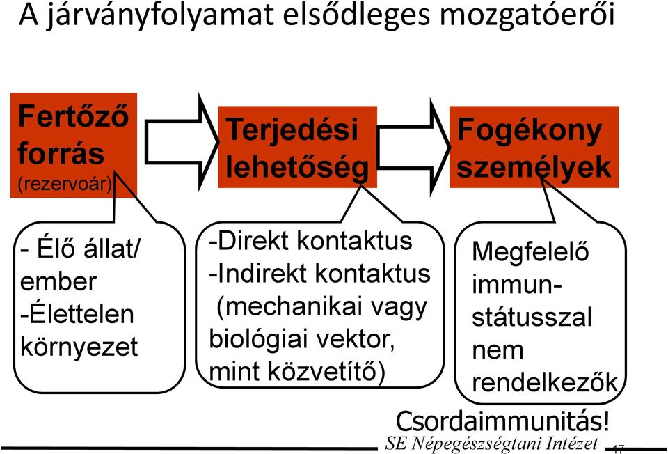 kontaktus -Indirekt kontaktus (mechanikai vagy biológiai vektor, mint közvetítő)