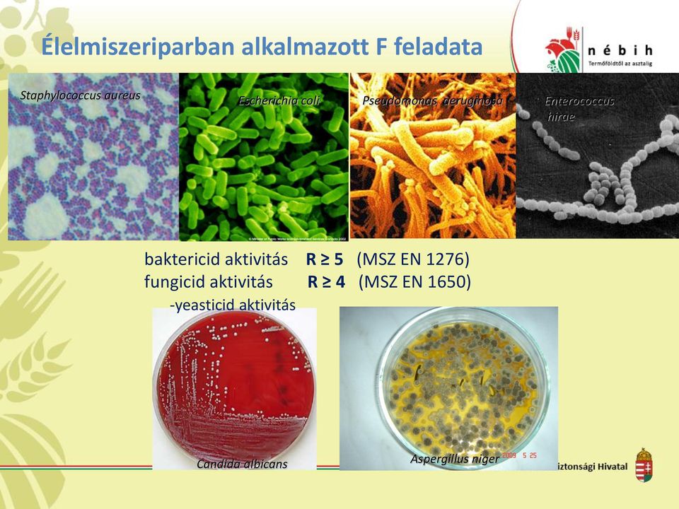 baktericid aktivitás R 5 (MSZ EN 1276) fungicid aktivitás R 4