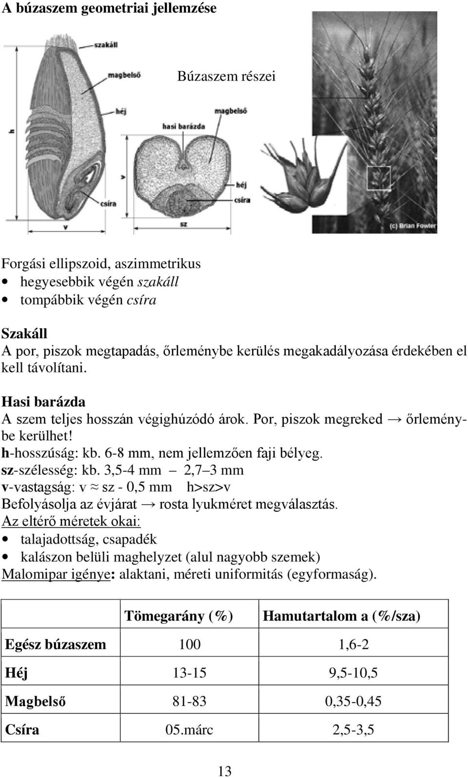 sz-szélesség: kb. 3,5-4 mm 2,7 3 mm v-vastagság: v sz - 0,5 mm h>sz>v Befolyásolja az évjárat rosta lyukméret megválasztás.
