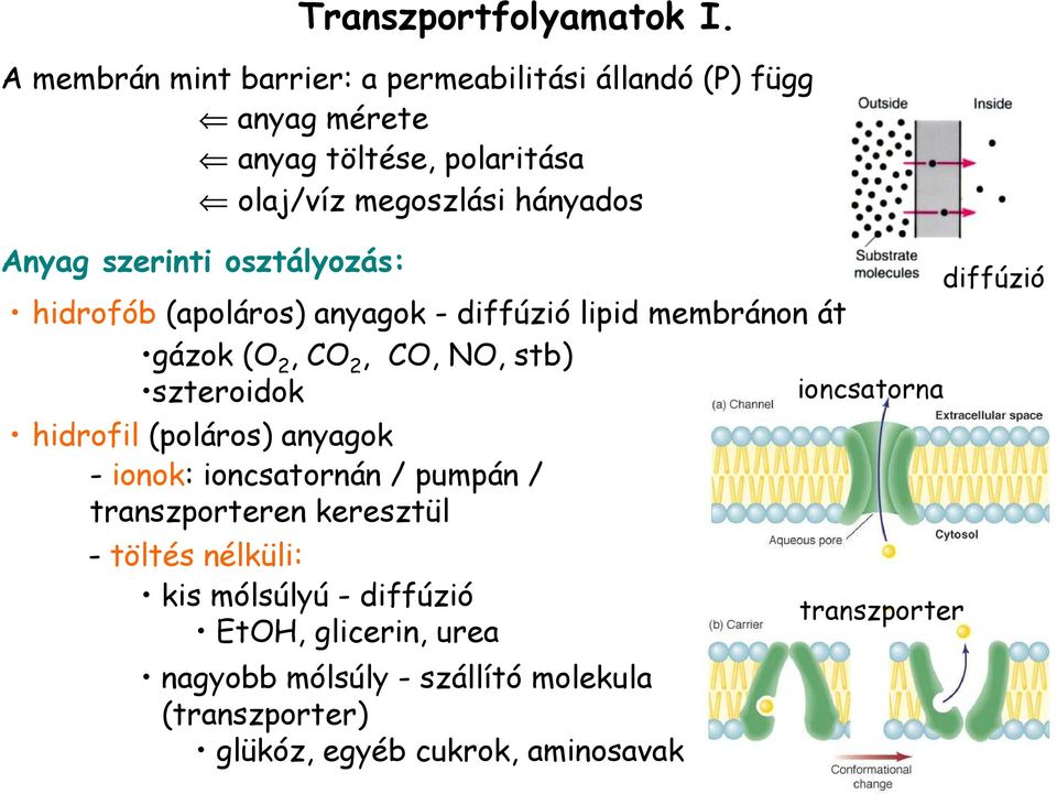 szerinti osztályozás: hidrofób (apoláros) anyagok - diffúzió lipid membránon át gázok (O 2, CO 2, CO, NO, stb) szteroidok hidrofil