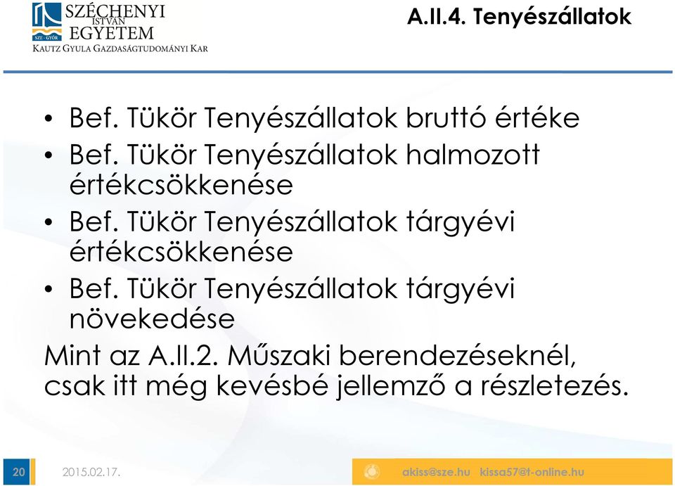 Tükör Tenyészállatok tárgyévi értékcsökkenése Bef.