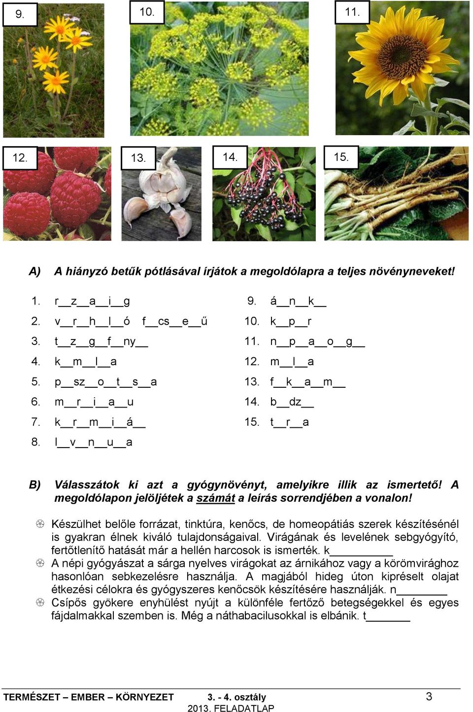 A megoldólapon jelöljétek a számát a leírás sorrendjében a vonalon! Készülhet belőle forrázat, tinktúra, kenőcs, de homeopátiás szerek készítésénél is gyakran élnek kiváló tulajdonságaival.