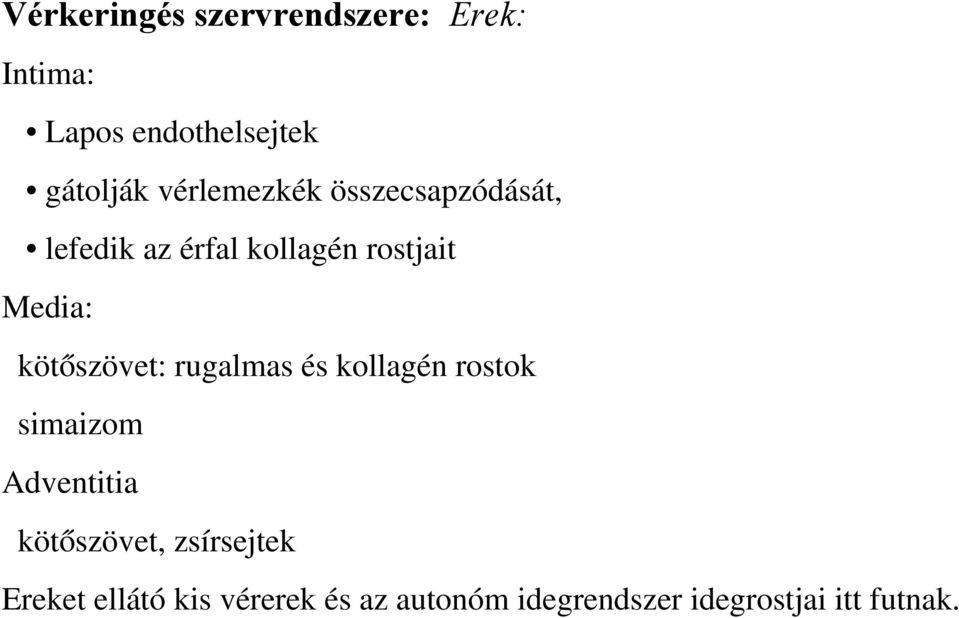 kötőszövet: rugalmas és kollagén rostok simaizom Adventitia kötőszövet,