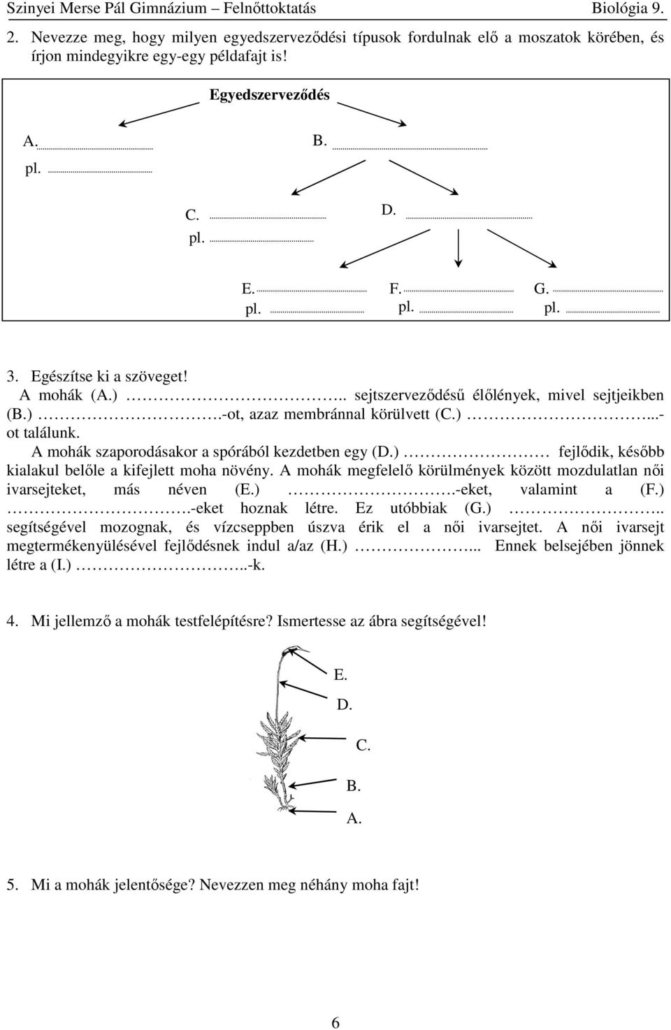 A mohák szaporodásakor a spórából kezdetben egy () fejlődik, később kialakul belőle a kifejlett moha növény. A mohák megfelelő körülmények között mozdulatlan női ivarsejteket, más néven ().