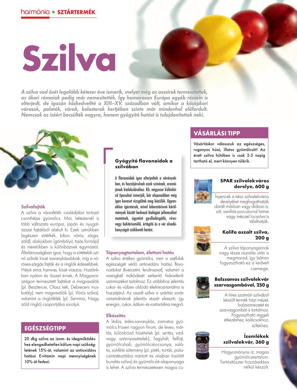 Nemcsak az ízéért becsülték nagyra, hanem gyógyító hatást is tulajdonítottak neki. VÁSÁRLÁSI TIPP Szilvafajták A szilva a rózsafélék családjába tartozó csonthéjas gyümölcs.