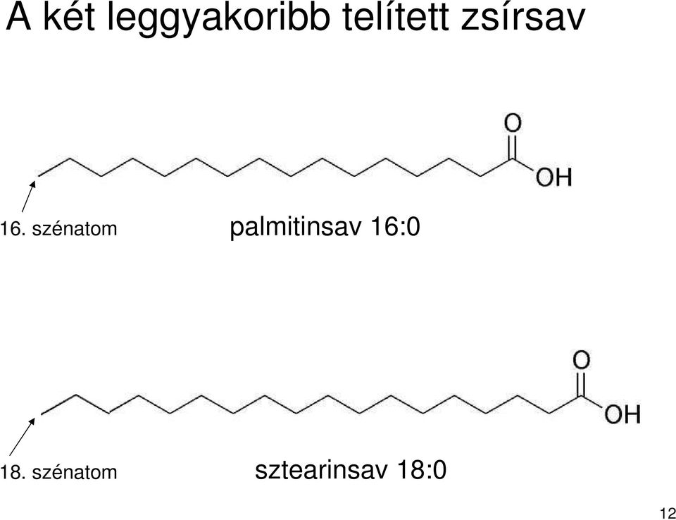 szénatom palmitinsav