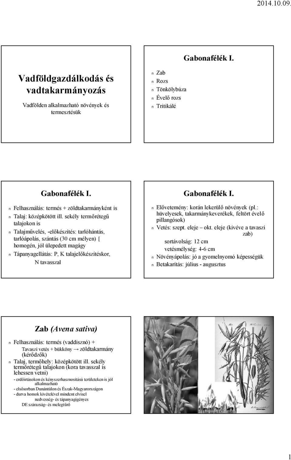 Elővetemény: korán lekerülő növények (pl.: hüvelyesek, takarmánykeverékek, feltört évelő pillangósok) Vetés: szept. eleje okt.