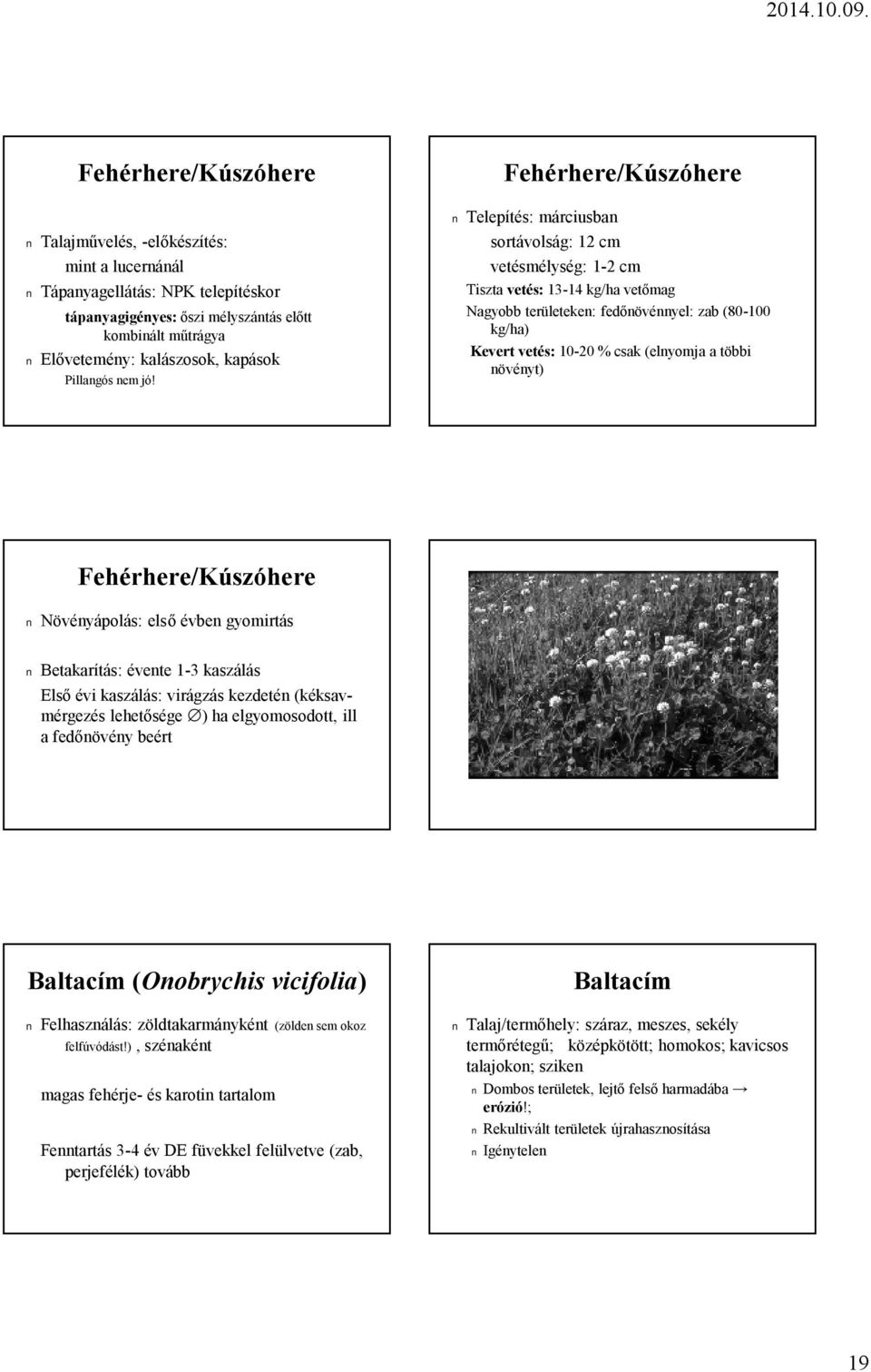 Fehérhere/Kúszóhere Telepítés: márciusban vetésmélység: 1-2 cm Tiszta vetés: 13-14 kg/ha vetőmag Nagyobb területeken: fedőnövénnyel: zab (80-100 kg/ha) Kevert vetés: 10-20 % csak (elnyomja a többi