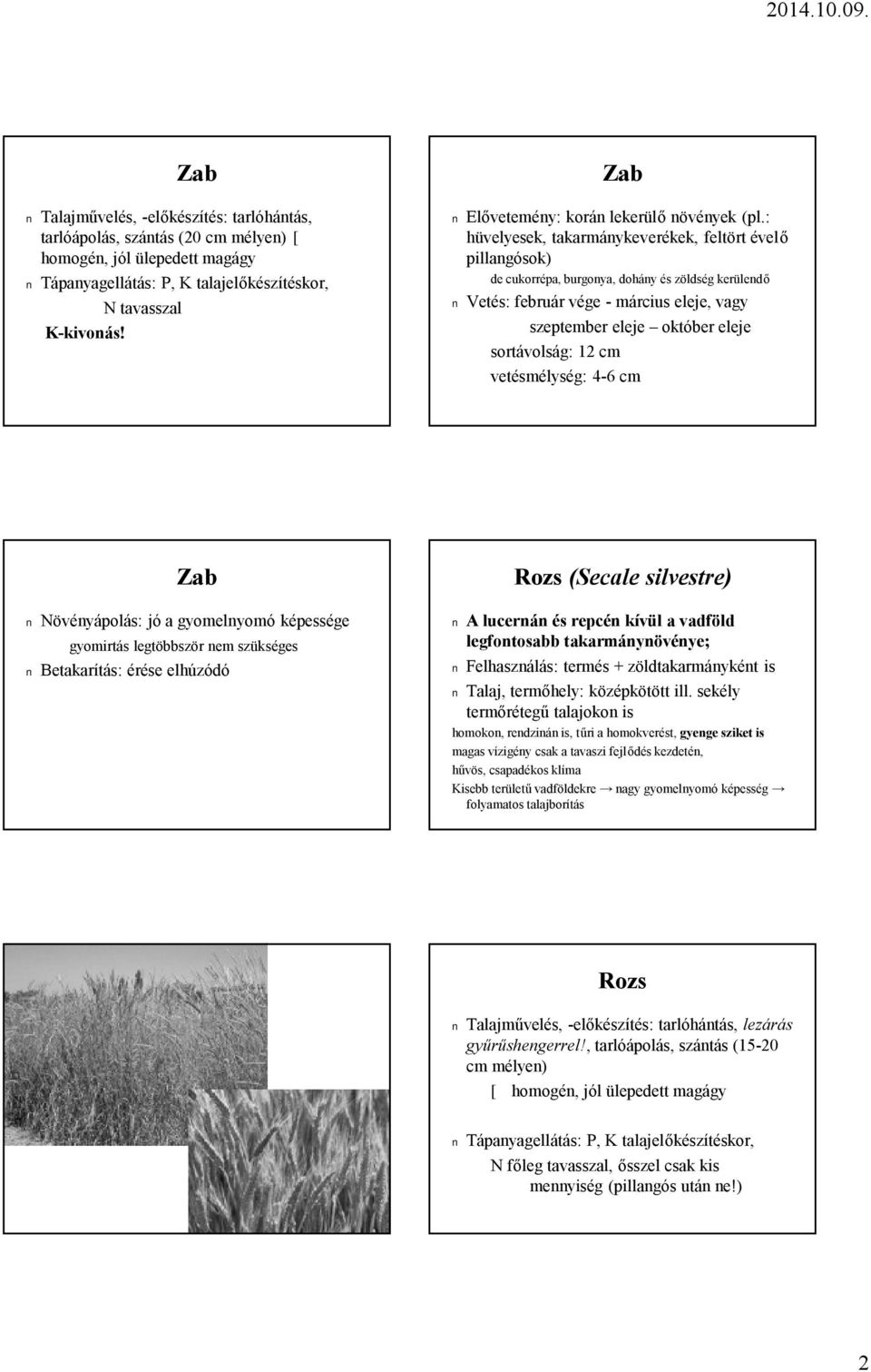 4-6 cm Zab Növényápolás: jó a gyomelnyomó képessége gyomirtás legtöbbször nem szükséges Betakarítás: érése elhúzódó Rozs (Secale silvestre) A lucernán és repcén kívül a vadföld legfontosabb