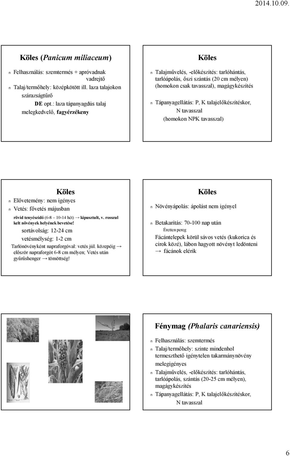 igényes Vetés: fővetés májusban rövid tenyészidő (6-8 10-14 hét) kipusztult, v. rosszul kelt növények helyének bevetése!