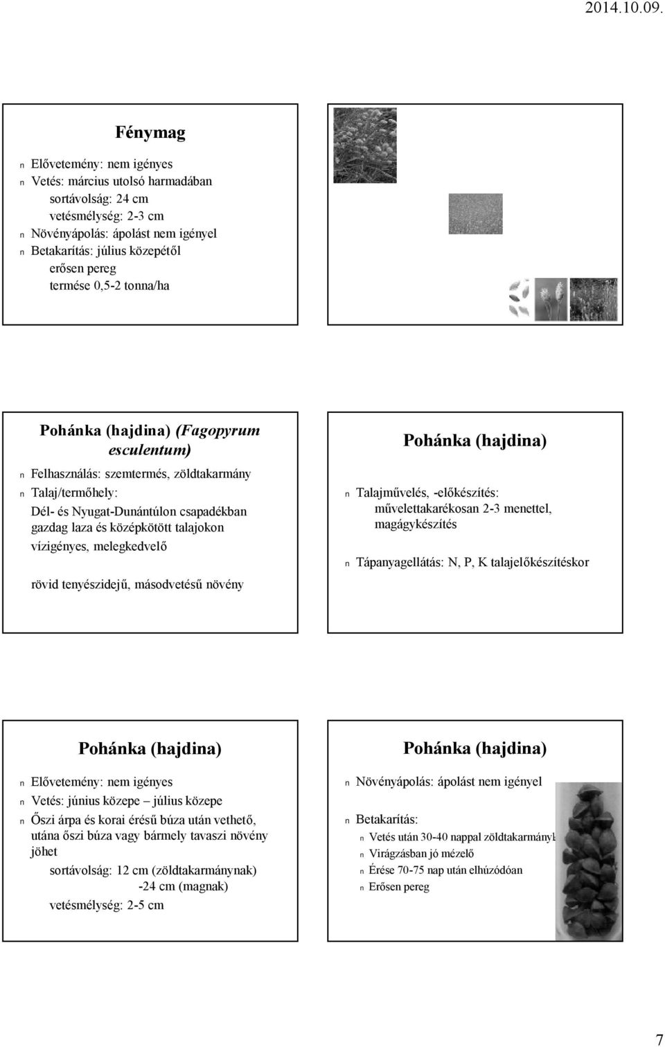 melegkedvelő Pohánka (hajdina) Talajművelés, -előkészítés: művelettakarékosan 2-3 menettel, magágykészítés Tápanyagellátás: N, P, K talajelőkészítéskor rövid tenyészidejű, másodvetésű növény Pohánka