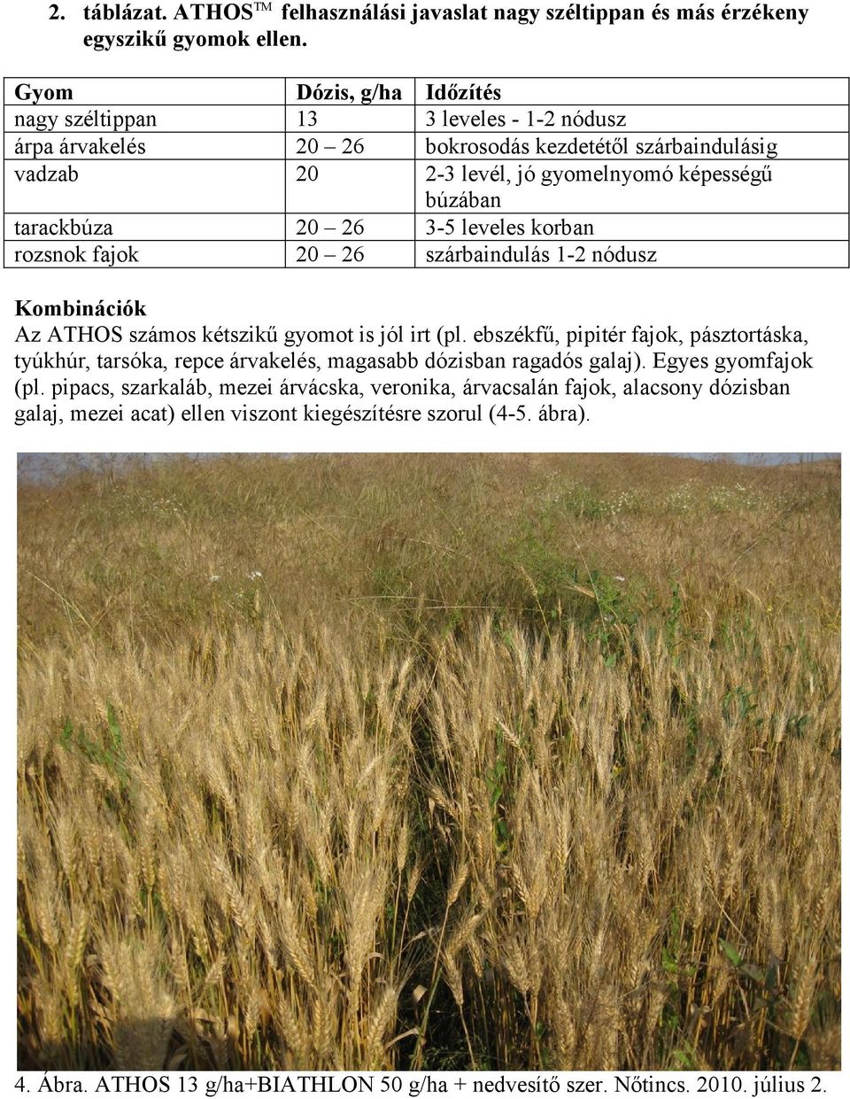 26 3-5 leveles korban rozsnok fajok 20 26 szárbaindulás 1-2 nódusz Kombinációk Az ATHOS számos kétszikű gyomot is jól irt (pl.