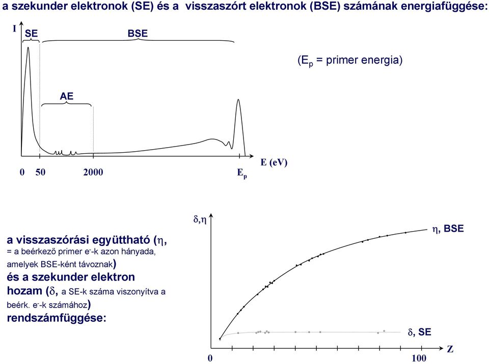 beérkező primer e - -k azon hányada, amelyek BSE-ként távoznak) és a szekunder elektron