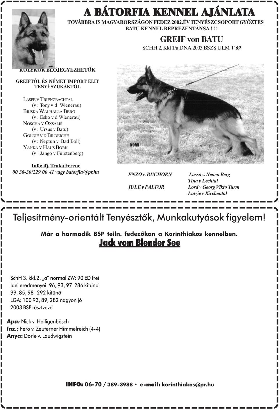 OXSALIS (v : Ursus v Batu) GOLDIE V D BILDEICHE (v : Neptun v Bad Boll) YANKA V HAUS BORK (v : Jango v Fürstenberg) Info: ifj. Truka Ferenc 00 36-30/229 00 41 vagy batorfia@pr.hu ENZO v.