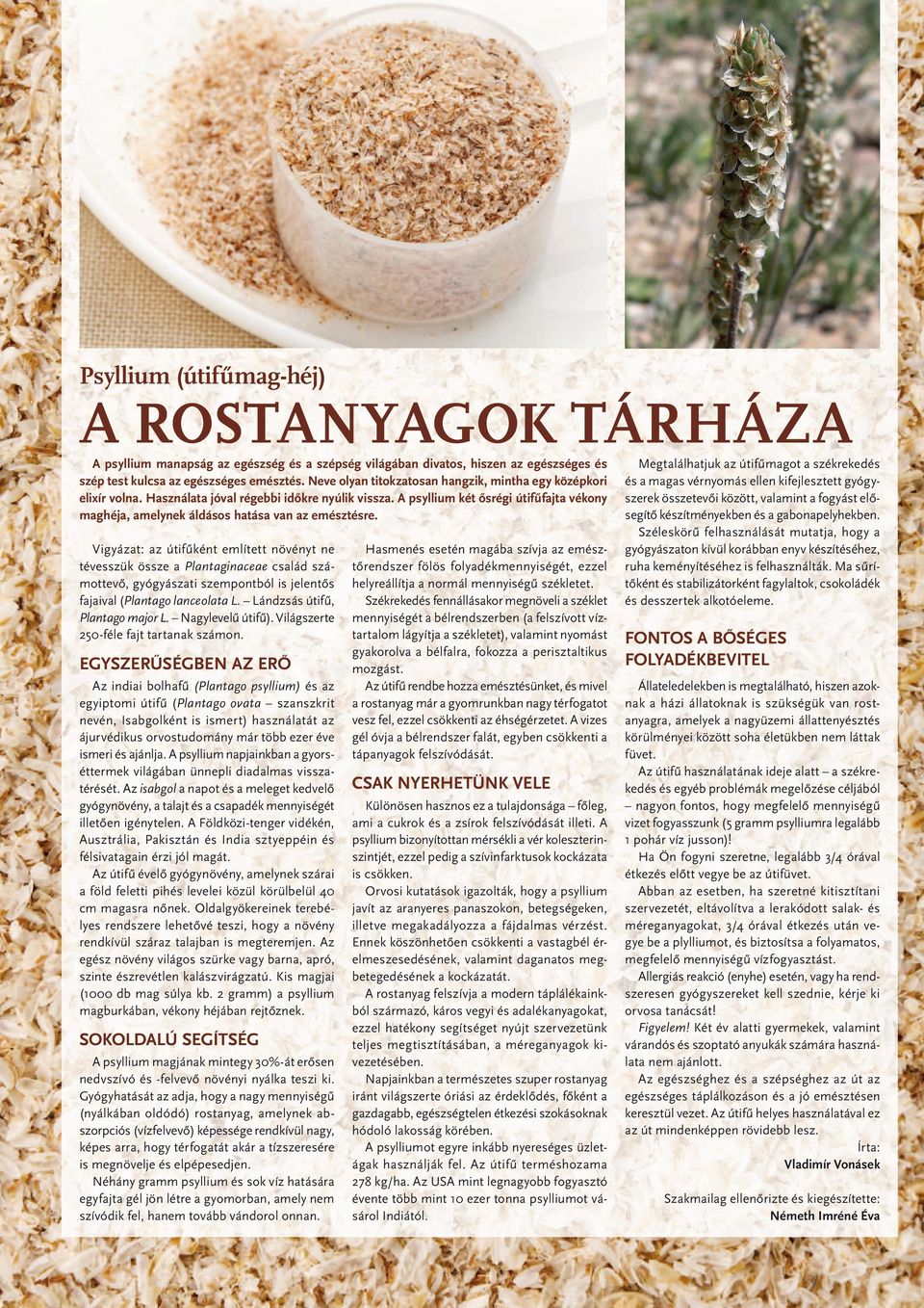 A psyllium két ősrégi útifűfajta vékony maghéja, amelynek áldásos hatása van az emésztésre.